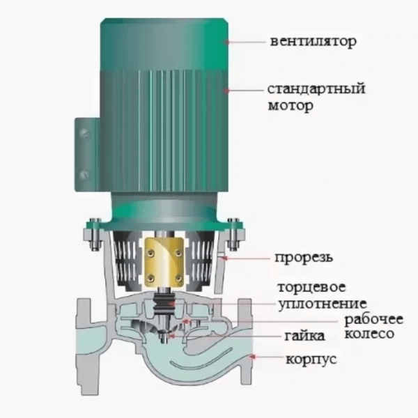 конструкція циркуляційного насоса з сухим ротором
